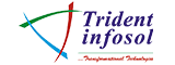 Ms Trident Infosol Pvt. ltd.